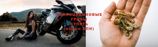 шишки Лихославль
