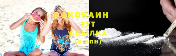 гашик Майский