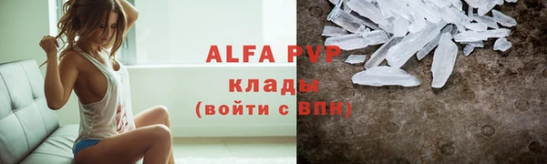 гашик Майский
