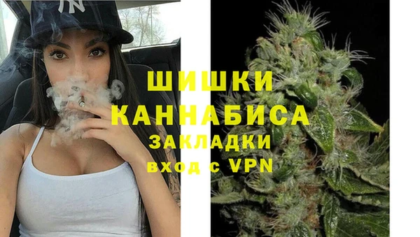 гашик Майский