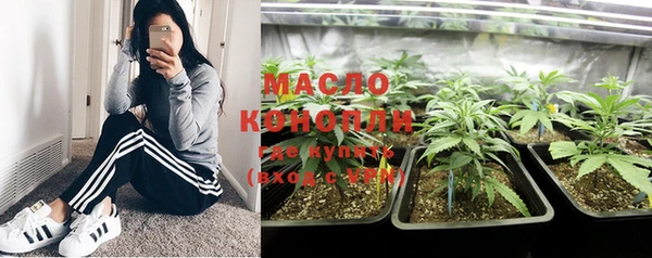 гашик Майский