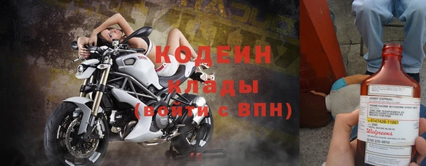 гашик Майский